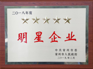 常寶股份榮獲“工業(yè)五星級企業(yè)”、“納稅金獎”等多項大獎156.png